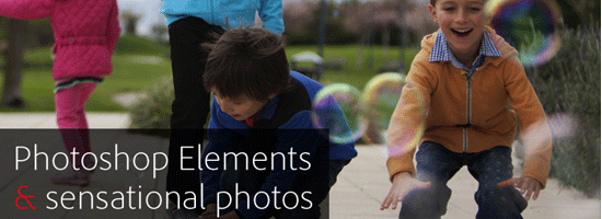 photoshop elements banner