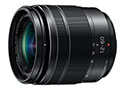 Panasonic LUMIX G VARIO 12-60mm / F3.5-5.6 ASPH. / POWER O.I.S.