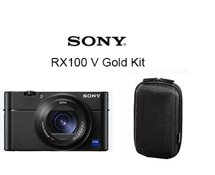 Sony DSC RX100 VA Gold Kit