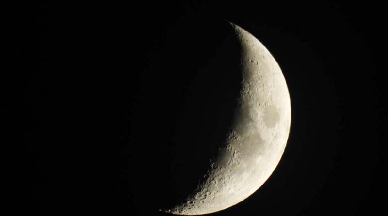 nikon p950 feature 2